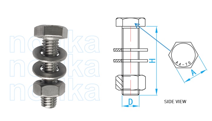 Stainless Steel 316L Hexagonal Bolts & Nuts with Washers